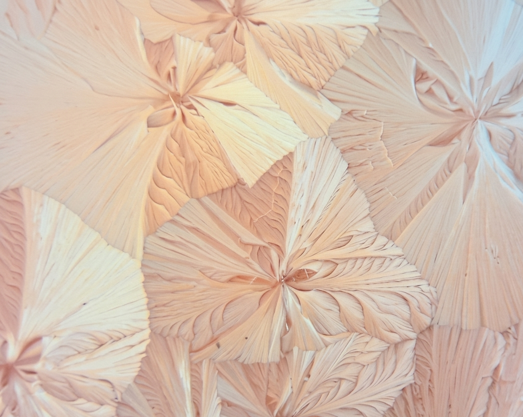 Gemini_Generated_Image_1ueary1ueary1uea